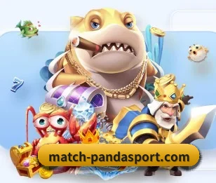熊猫体育围绕看球场景设计的核心服务 - 多运动项目内容板块